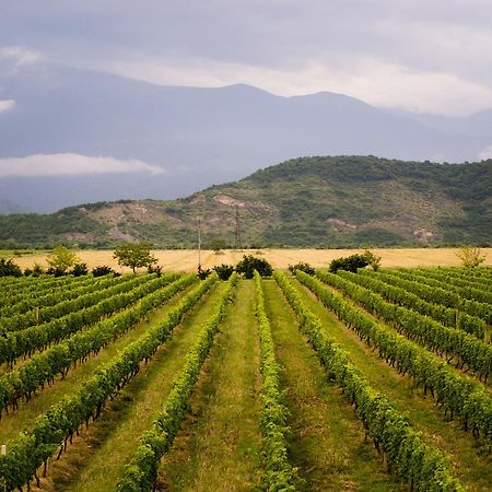 فندق Shaloshvili's Cellar Shilda المظهر الخارجي الصورة