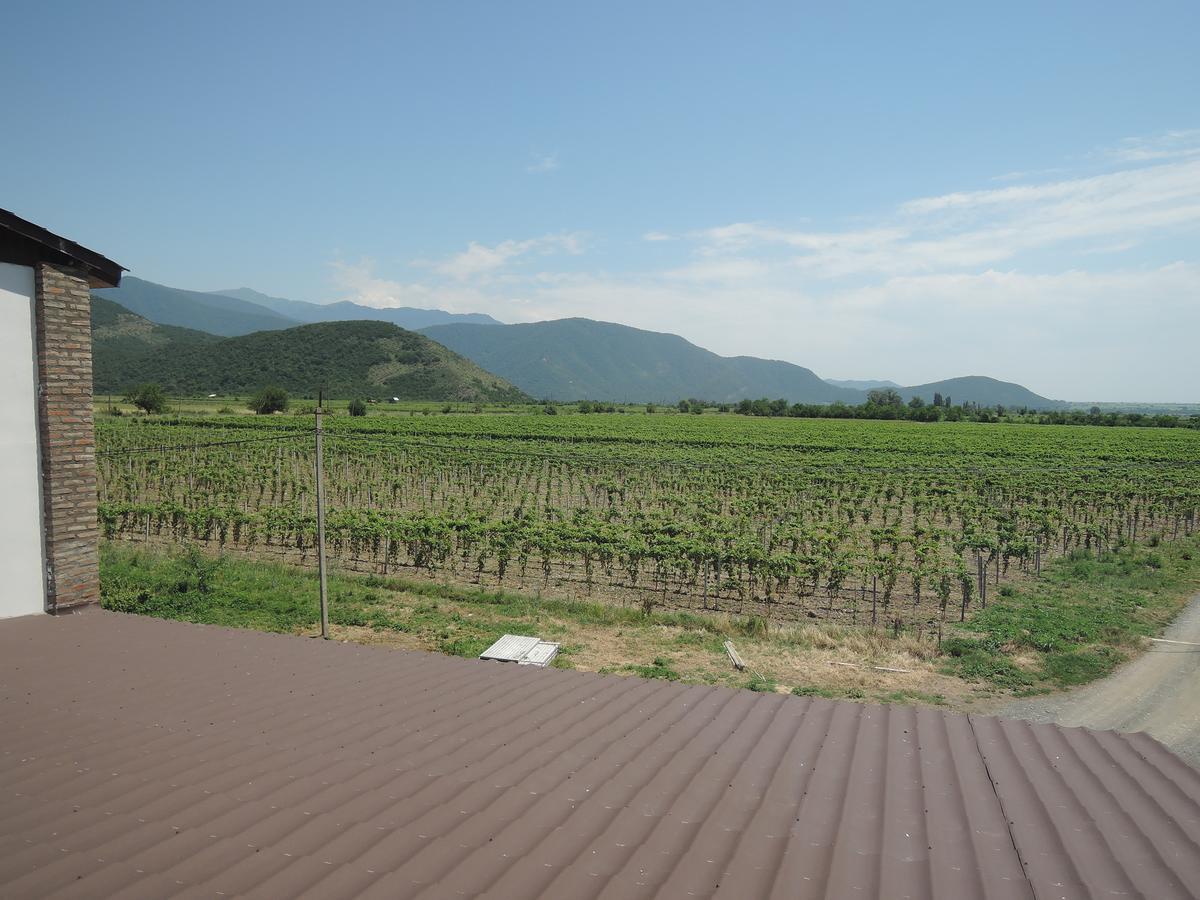 فندق Shaloshvili's Cellar Shilda المظهر الخارجي الصورة
