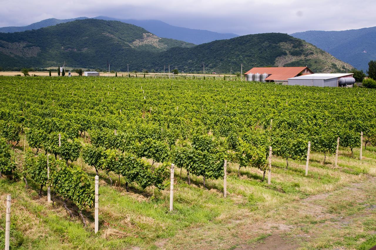 فندق Shaloshvili's Cellar Shilda المظهر الخارجي الصورة