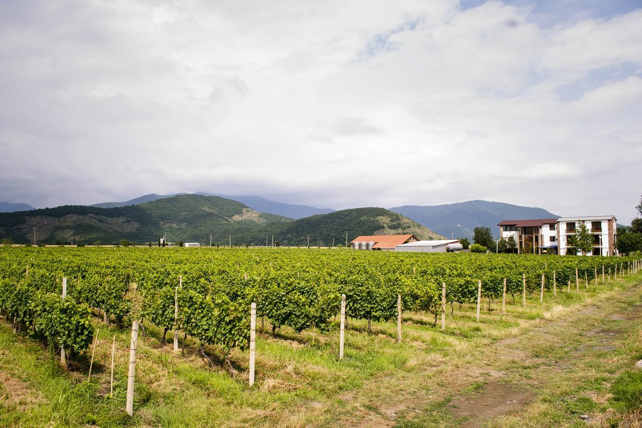 فندق Shaloshvili's Cellar Shilda المظهر الخارجي الصورة