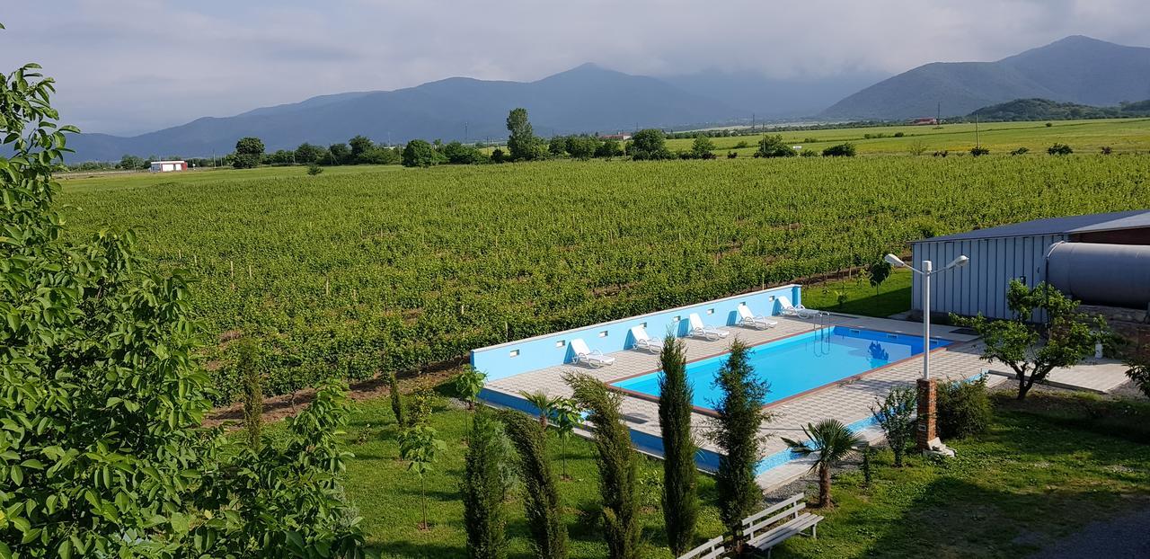 فندق Shaloshvili's Cellar Shilda المظهر الخارجي الصورة
