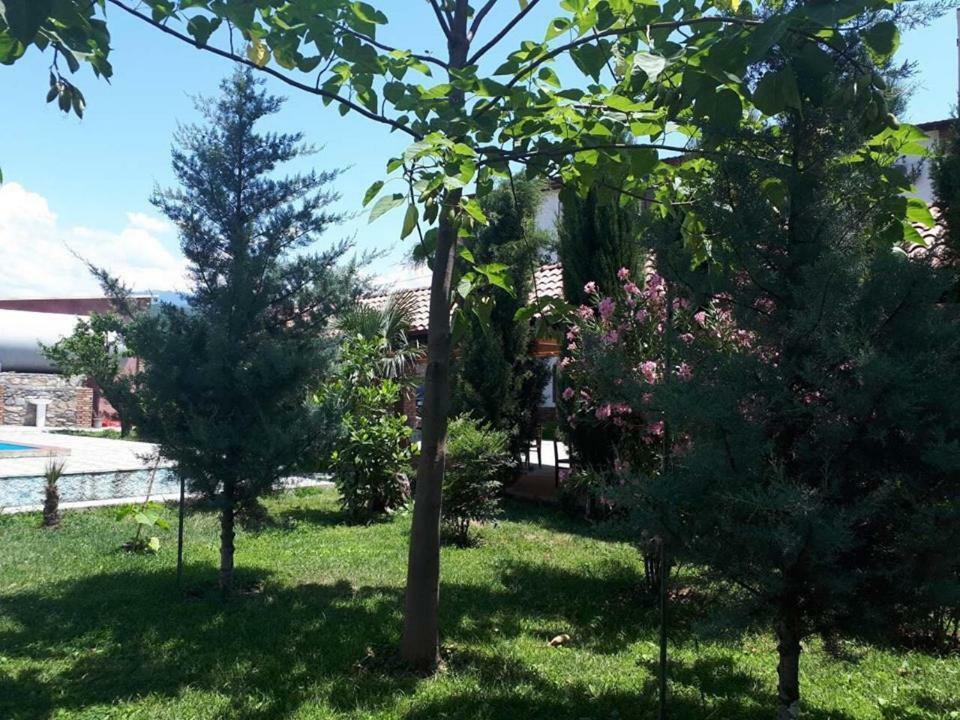 فندق Shaloshvili's Cellar Shilda المظهر الخارجي الصورة